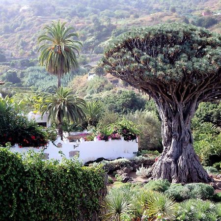 דירות איקוד דה לוס וינוס El Rincon With Teide View III מראה חיצוני תמונה