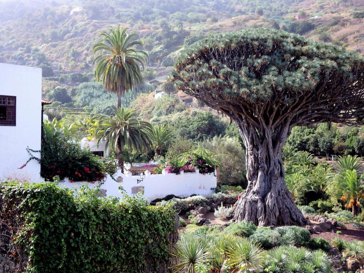 דירות איקוד דה לוס וינוס El Rincon With Teide View III מראה חיצוני תמונה